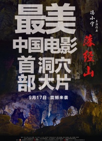91精品国产91久久久久